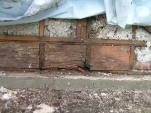Deteriorated Sill Plate